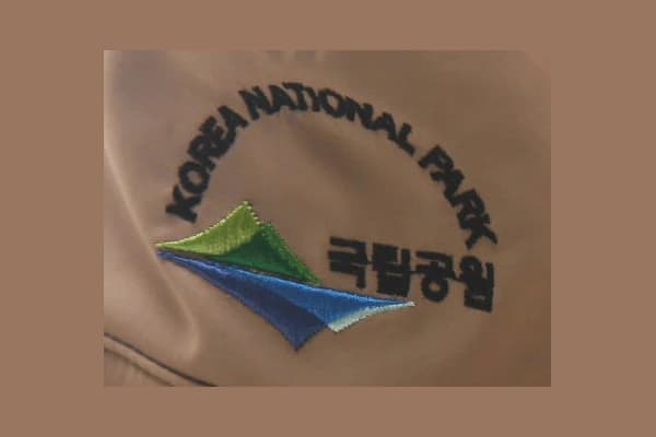 평자수 적용 예시